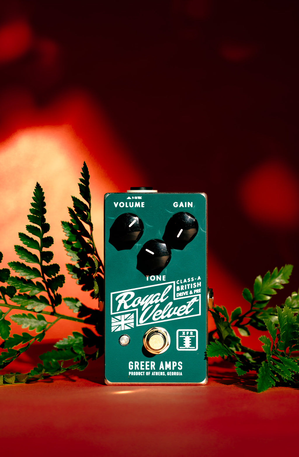 Greer Amps Royal Velvet