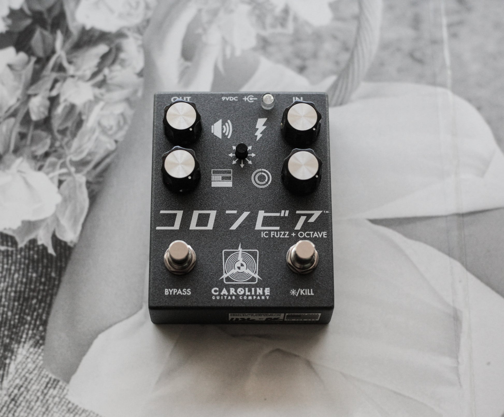 Caroline Guitar Company Shigeharu Fuzz Pedal