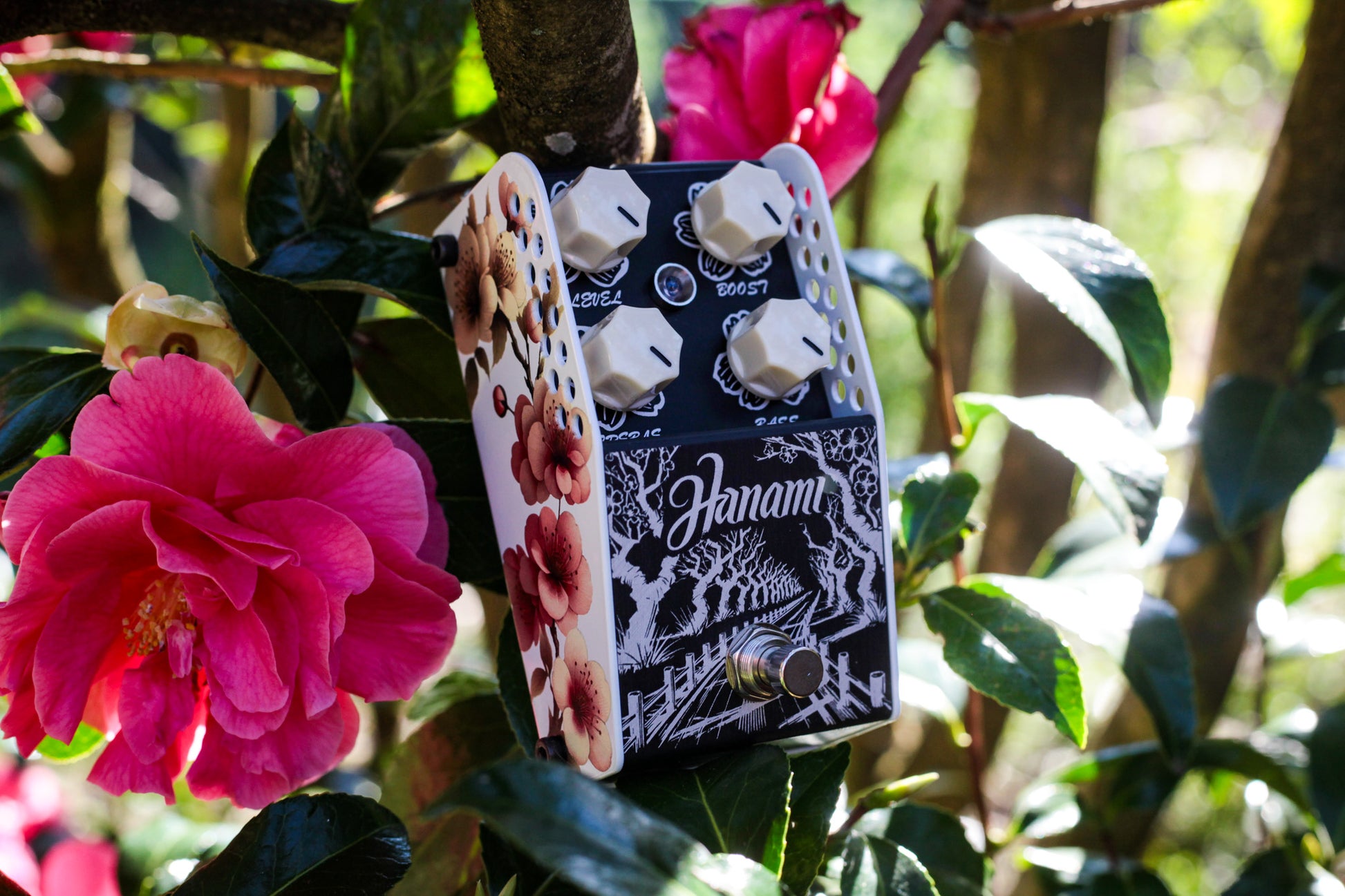 ThorpyFX Hanami